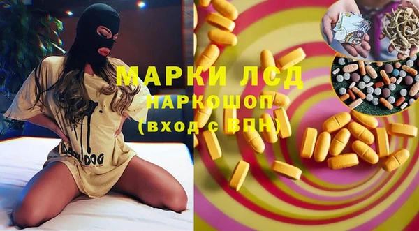 apvp Алзамай