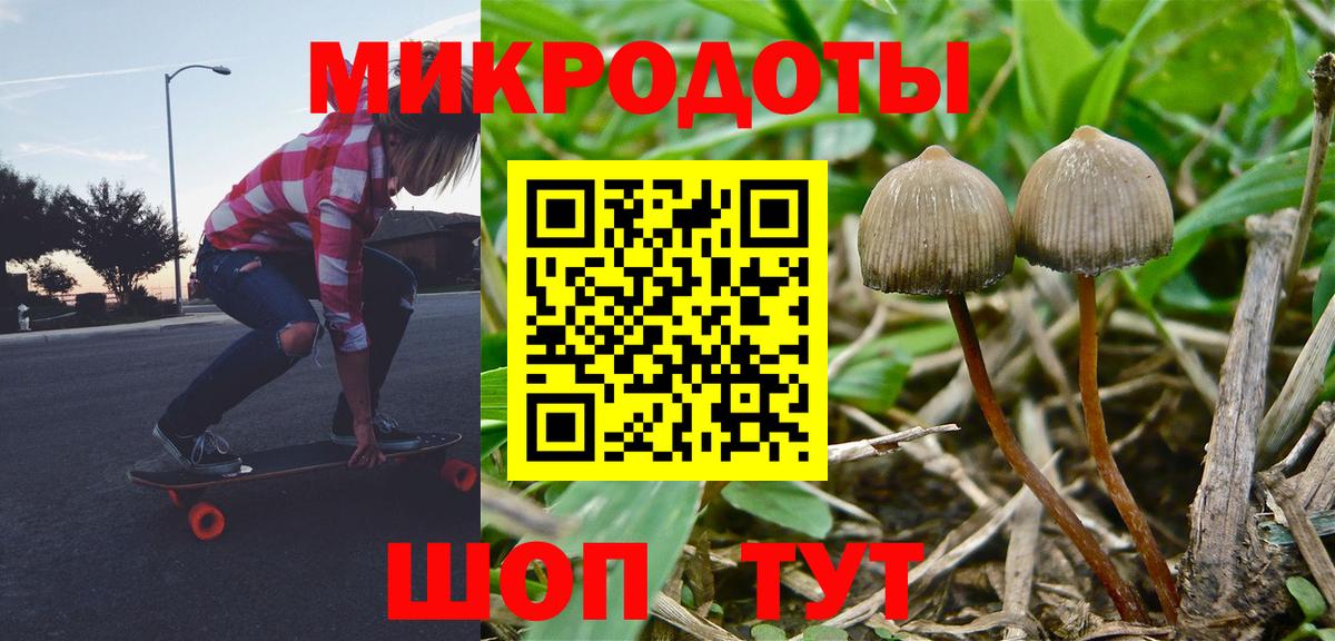 Галлюциногенные грибы прущие грибы  Вход с VPN  Сочи 
